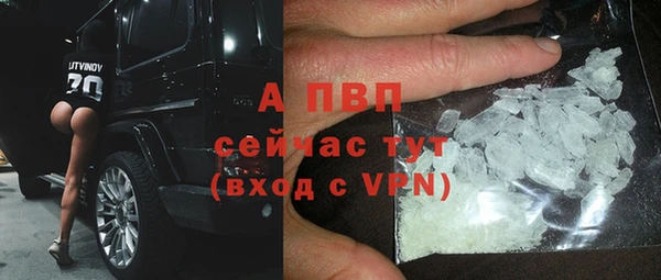 тгк Белокуриха