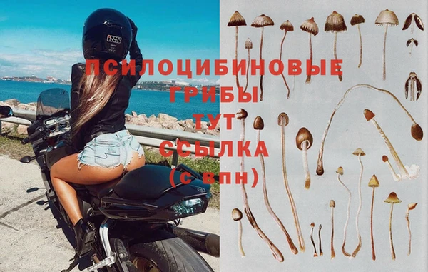 спиды Тутаев