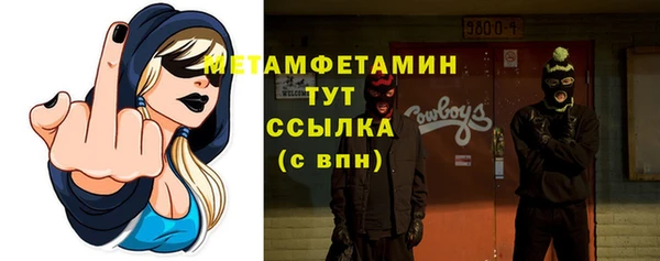 прущие грибы Тында