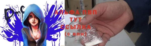 тгк Белокуриха