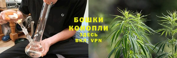 тгк Белокуриха