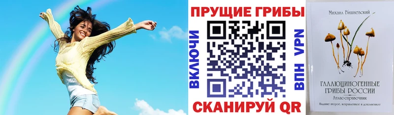 Псилоцибиновые грибы мухоморы  сайты даркнета клад  Верхняя Тура 